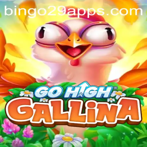 A Journey Into the Exciting World of GoHighGallina